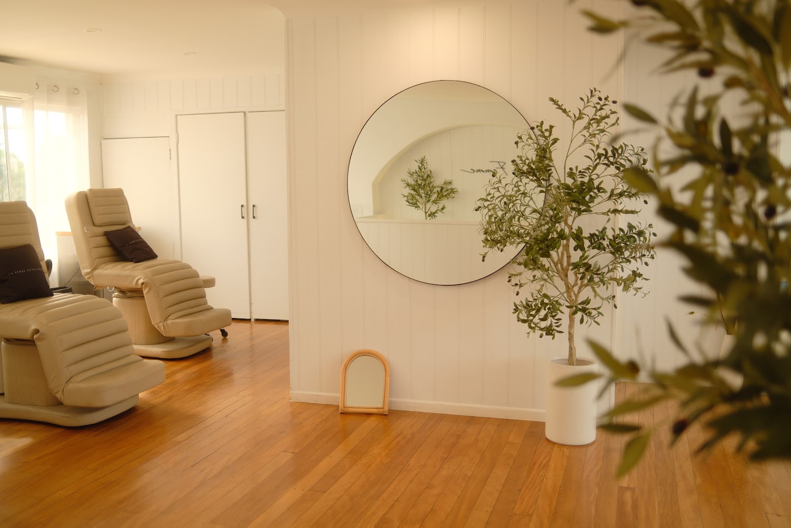 Two cream tattoo chairs under a round mirror, beside an olive tree on a timber floor