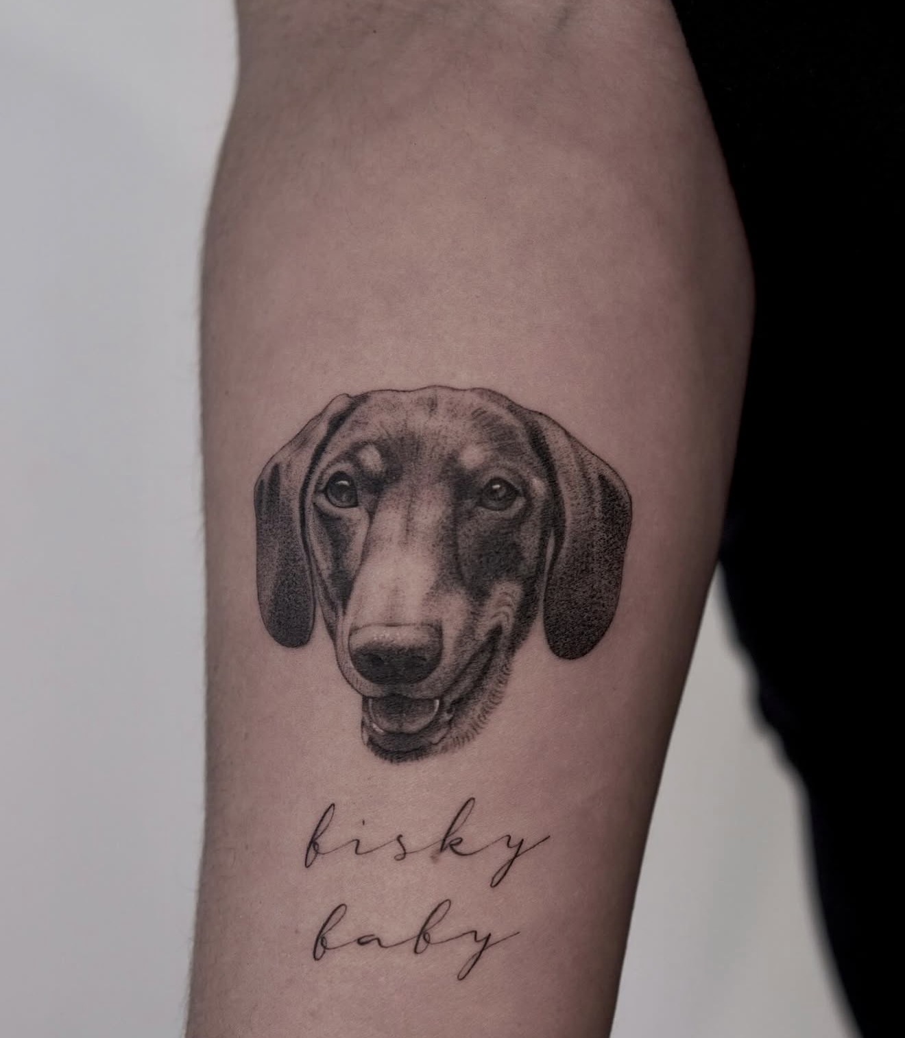 Fine line portrait of a dachshund with the script words bisky baby